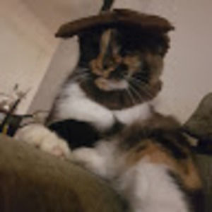 Meet your Posher, Lucas